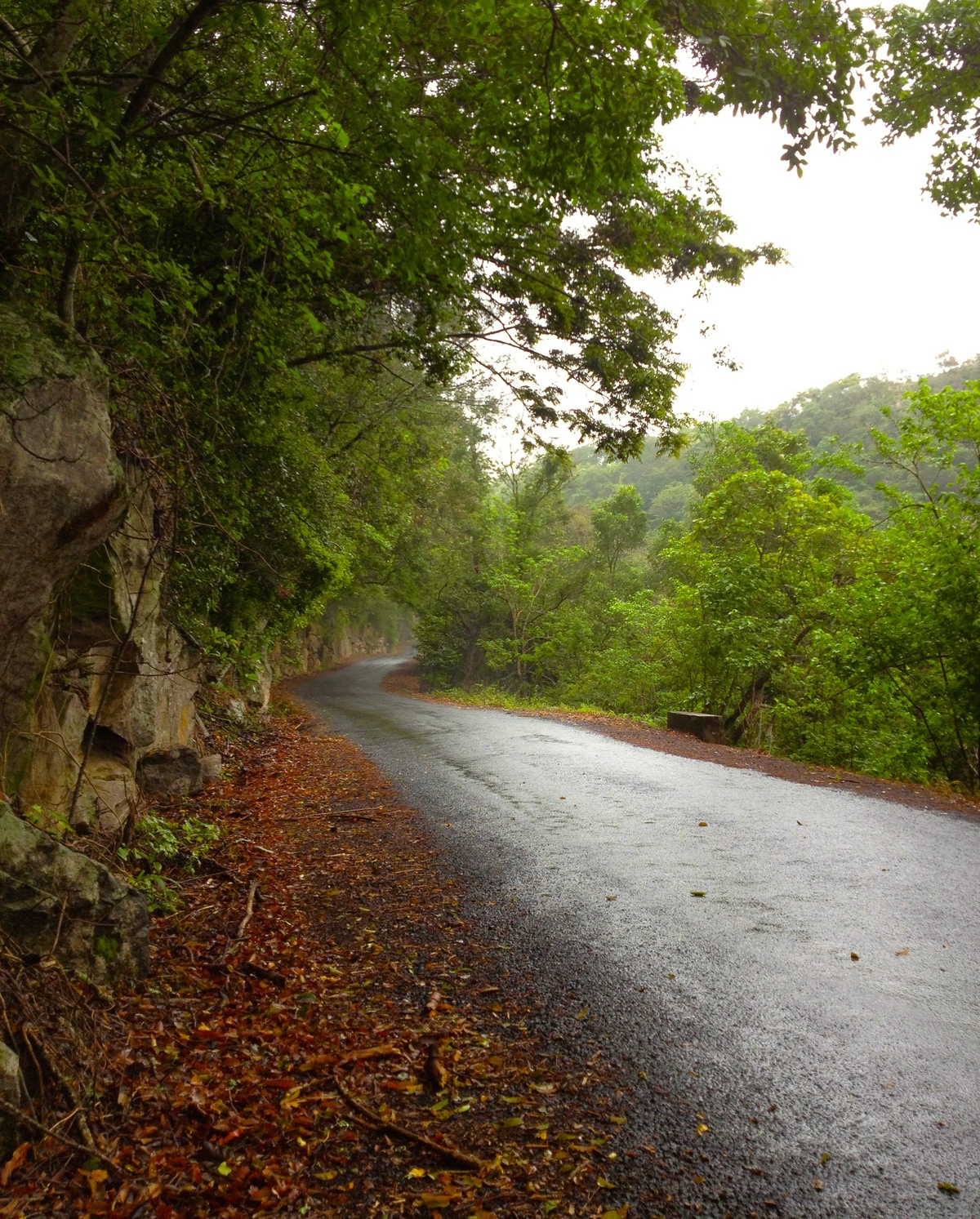 What do you do about a year that hasn’t gone as planned?